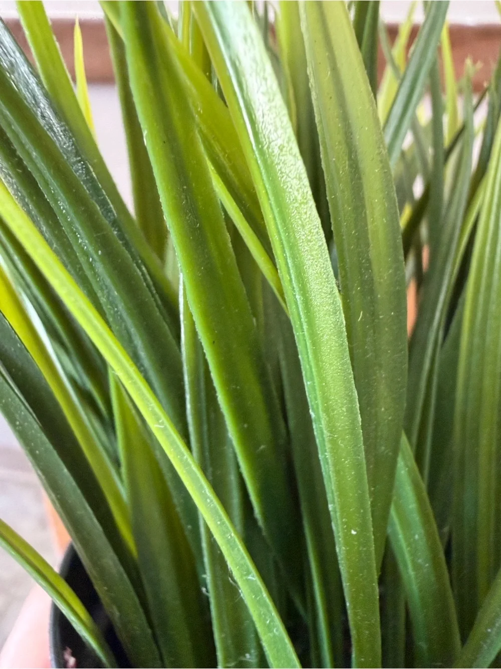 IKEA Fejka Artificial potted plant, indoor/outdoor grass